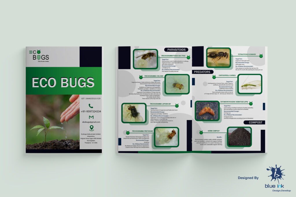 Catalog – Product